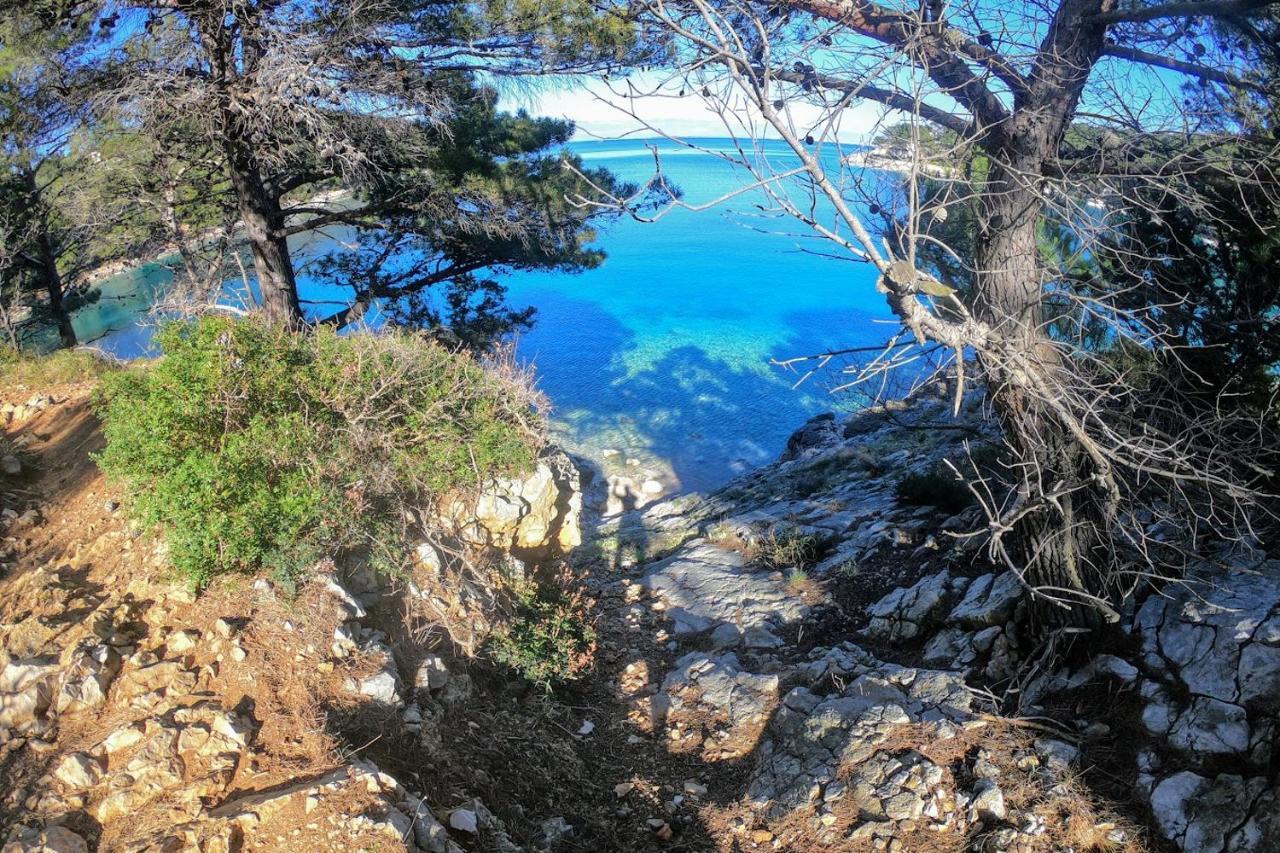 Amaryllis Residence, Apartment Diana & Deluxe Rooms With Shared Kitchen Veli Lošinj Exterior foto